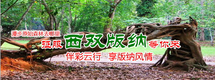 美麗的西雙版納，有沒有我的家