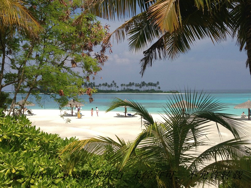 美麗的馬爾大夫