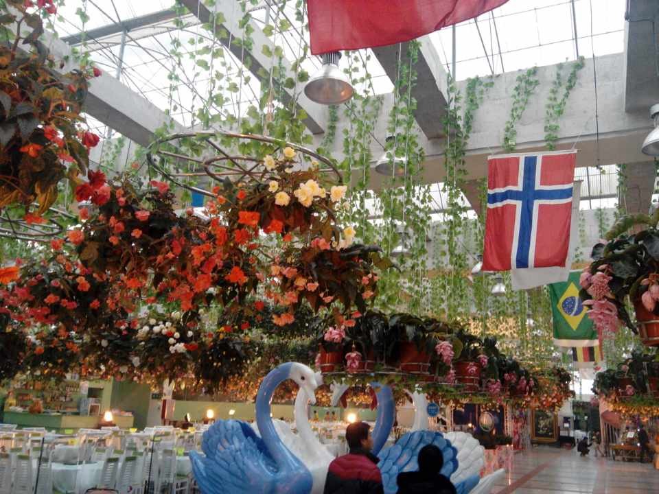 百萬葵園\花海世界餐廳2