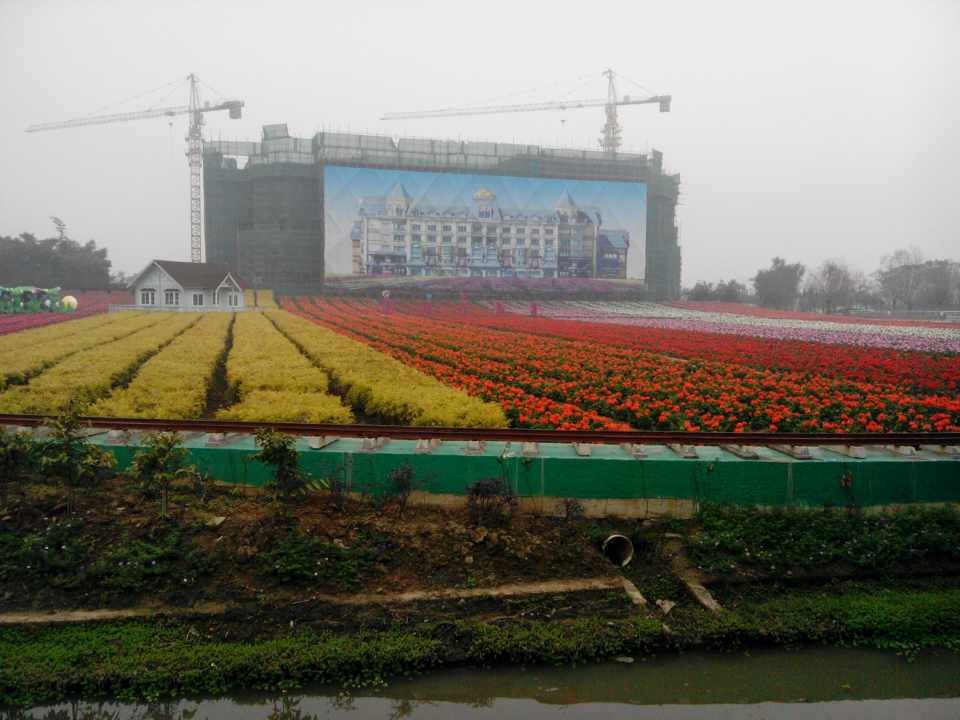 省內(nèi)\百萬葵園\七彩花田0