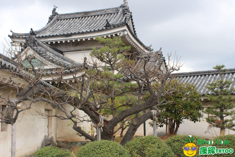 和歌山城-康輝小蔡拍攝